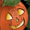 ML245   Jack o Lantern