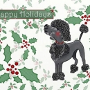 ML250  Toy Poodle Greetings