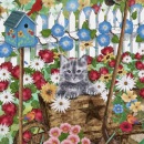 ml336_v2-garden-cat-and-birds