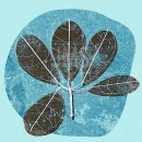 COP1063  5 leaf