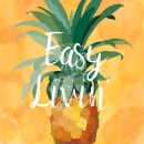 MC3234  Pineapple_Easy