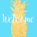 MC3244  Pineapple-welcome