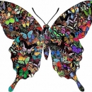 COP1066 ButterflyCollage-1p2