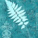 COP1067 fern