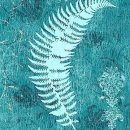 COP1068 fern2