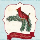 COP1214_b  Winter Cardinal 1_blue