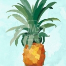 MC3235  Pineapple
