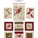 PFD    Collaged Cardinals  PP54
