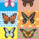 JEN2296  Welcome Butterflies