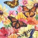 JEN2366_a  Large Butterflies&Flowers
