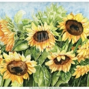 JEN2643  Sunflowers_2020