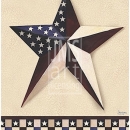 JEN2418  Americana Star