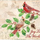 JEN2728  Christmas_Cardinals