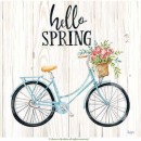 JEN2763  Hello_Spring_Bike