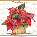 JEN2040 pointsettia winte rgreeting