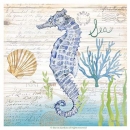 JEN2549  Seahorse_Coastal_2019