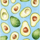 JEN2560  Avocado_2019