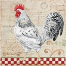 JEN2564  White_Rooster_2019