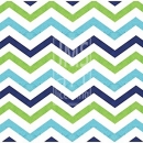 JEN2445  Seaside Paisley Coordinating Chevron