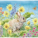 JEN2534  Wild_Flowers_Bunny_2019