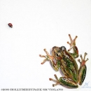 HOL2227 FrogLadybug