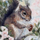 HOL2243 Squirrel