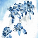 ST515  F-ST029-blue-floral