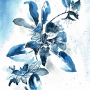 ST516  F-ST030-blue-floral