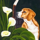 AMB1077 Beagle_lilies