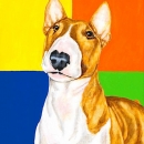 AMB1085 english_bull_terrier