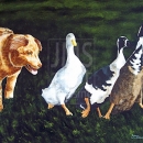 AMB1130 dog_ducks