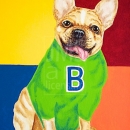 AMB1138 frenchbulldog