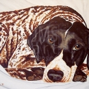 AMB1140 germanshorthaired