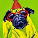 AMB1154 pug_partypug