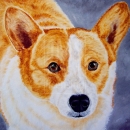 AMB1182 corgi_please