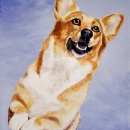 AMB1183 corgidoglg