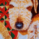 AMB1204 xmas_airedale