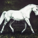 AMB1275 whitehorselg