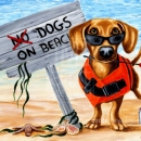 AMB1341 Doxie_TheDogBeach