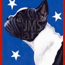AMB1015 Frenchbulldog_United