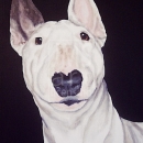 AMB1059 english_bull_terrier