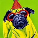 AMB1154 pug_partypug