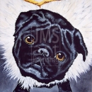 AMB1198 angel_pug_black