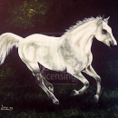AMB1234 whitehorse
