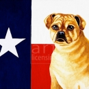 AMB1322 Texas_Honey