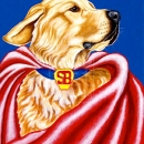 AMB1365 GoldenRetriever_SuperBear