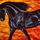 AMB1247 friesianflamelg