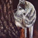 AMB1289 wolftreelg