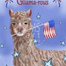 ML594  Llama summer