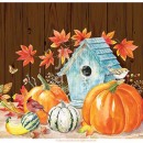 JEN2663_B  Fall_Birdhouse_Gourds_No_Type